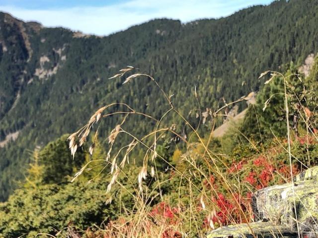 Alpapart - Innsbruck Ellbögen Eksteriør bilde